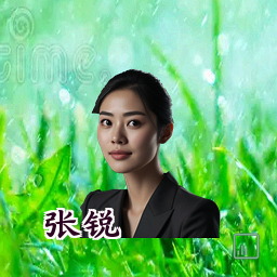 张锐